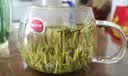 百草仙翁2026新茶兰妃茶全嫩芽兰花香茶叶花茶绿茶四川雅安特产散装春茶 盒装250克 实拍图