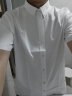 Navigare意大利小帆船短袖衬衫男士透气夏装薄款纯棉白衬衣 漂白 L/40 实拍图