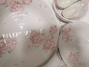 陶趣居日式盘子日本制造樱花餐具套装碗盘3D樱花雨面设计陶瓷套装间取樱 5.4英寸钵 实拍图