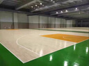 运动木地板室内篮球馆专用枫桦木羽毛球场单龙骨舞台体育实木地板 样品 实拍图