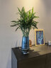 傲石 玻璃透明水养花瓶 摆件客厅插花轻奢ins风法式简约餐桌干花瓶 高款(高33cm) 实拍图
