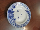 煜乾盘子菜盘餐盘家用青花瓷景德镇陶瓷骨瓷汤盘饭盘釉中彩蝴蝶兰圆形 8英寸深盘 实拍图