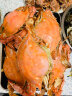 三座海 鲜活梭子蟹 莱州湾新鲜飞蟹 红膏母蟹 鲜活螃蟹 海鲜礼盒 6只装 每只半斤 鲜螃蟹礼盒 晒单实拍图