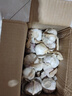 2025年新鲜紫皮干蒜可腌制腊八蒜9斤5斤整箱新晒干十成干紫皮干蒜 1000g 尝鲜中果 实拍图