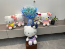 Hello Kitty 正版凯蒂猫公仔猫咪玩偶毛绒玩具布娃娃靠垫枕头 送女友老婆男女孩伴手礼生日礼物女生礼品陪睡觉抱枕 30cm坐姿背包KT 实拍图