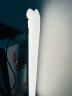 ZENIKOOT80Bi/OT40Bi双色温补光灯充气棒灯气柱灯摄影外拍灯磁吸便携户外小型特效打光 OT80Bi充气棒灯+电动充气泵 晒单实拍图