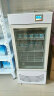 英臣 商用酸奶机发酵箱醒发箱全自动大容量机柜 白色118L液晶屏 实拍图