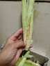 探味君 新鲜甜玉米笋 迷你小玉米棒芯甜玉米芯带壳新鲜蔬菜水果批发包邮 净重2.8-3斤 实拍图