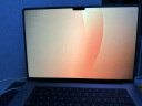 肯辛通（Kensington） MacBook16英寸M1/M3笔记本电脑防窥屏 抗蓝光反光磁吸式双面可用防窥屏 K58371 晒单实拍图