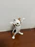 当礼达日本Qualia妖娆猫咪笔架摆件举笔猫办公室桌面装饰生日礼物送女友 三花猫【第一弹】正版扭蛋 实拍图