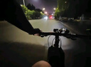 天火（SkyFire）自行车前灯尾灯组合智能感应刹车夜骑公路山地车车灯充电骑行配件 300LM/冰河蓝/光感感应+尾灯 实拍图