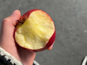 嗯嗯乐新西兰试管火箭小苹果Rockit Apple新鲜进口苹果水果 2筒290g家庭装 实拍图