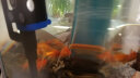 YEE鱼缸过滤器三合一上过滤轻音增氧抽水泵水族箱鱼缸循环泵 7.5w【小号滤盒套餐】 实拍图