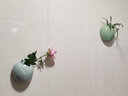 安言 壁挂花瓶墙上遮丑免打孔陶瓷创意悬挂式悬吊花盆绿萝简约水培 YY-壁挂-唐装(梅子青) 小 实拍图