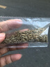 简雪进口牧草种子四季多年生鱼草耐寒抗旱喂养鸡鸭鹅猪牛羊鱼兔草籽孑 苦麦菜种子1斤 实拍图