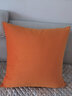 沁汐靠枕天鹅绒轻奢超柔ins靠垫套简约大靠背垫客厅丝绒纯色沙发抱枕 爱马仕橙 65cm*65cm 含枕芯 实拍图