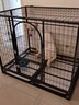 喵先生狗笼中大型犬小型犬狗笼子带厕所家用宠物狗窝围栏狗屋狗狗用品 四面全方管加固款 125*95*105cm 实拍图