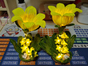 京东鲜花diy手工扭扭棒铃兰花束材料生日礼物女生送女友闺蜜毕业礼物用心 实拍图