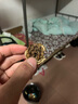 斯悦特3D全包围发动机护板23 24款汽车底盘防护板发动机下护板装甲改装 3D全包围铝镁合金 起亚K2K3K4K5KX3智跑福瑞迪凯绅 实拍图