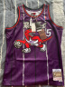 MITCHELL & NESS复古球衣 SW球迷版 NBA猛龙队卡特98赛季 MN男篮球服运动背心 紫色 L 实拍图