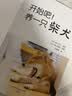 开始吧！养一只柴犬 实拍图