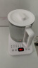 LOTOR养生壶迷你煮茶壶办公室烧水壶电热水壶家用煮茶壶玻璃养身壶一人煮茶壶 白色+滤桶【升级不沾底】 1.5L 实拍图