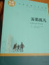 雾都孤儿 中小学生课外阅读书籍世界经典文学名著青少年儿童读物故事书名家名译原汁原味读原著 实拍图