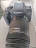 佳能/Canon 600D 700D 750D 760D 800D 850D二手单反相机新手入门旅游高清相机 750D【单机】 99新 实拍图