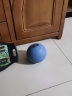 蒙拓嘉实心球中考专用专业训练球2kg全国中小学比赛投掷防滑2公斤充气球 蓝色 实拍图