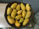 京鲜生 海南大台农芒果 5斤年货礼盒装 单果150g起 新鲜水果 实拍图