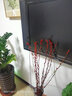 雪柳干枝水插花水培鲜花室内遇水开花客厅阳台观花绿植雪柳花鲜枝水养年宵花卉植物 银柳10支60厘米高 不含瓶 实拍图