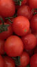 京百味 海南小番茄 1kg 简装 新鲜蔬菜 实拍图