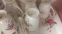 品来运 陶瓷杯子水杯套装冷凉水壶骨瓷耐热茶壶家用喝水具欧式客厅茶杯 火烈鸟锦绣水具9件（骨瓷茶盘） 实拍图