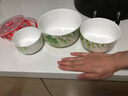 华光国瓷 抗菌骨瓷保鲜碗三件套 保鲜盒釉中彩 一人食泡面碗饭盒带盖 春色满园 实拍图
