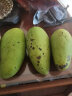 四川攀枝花凯特芒果礼盒装 新鲜一级果王当季水果特大甜芒现货 5斤装（单果400g-500g） 【一级果王】 实拍图