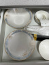 京东京造碗碟套装 中式 景德镇餐具陶瓷碗碟家用乔迁结婚送礼24头时光漫步 实拍图