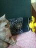 美悦宠物猫玩具吸盘旋转发光逗猫棒自动逗猫自嗨解闷神器毛刷蹭痒磨牙玩具 黄色旋转风车（+逗猫激光笔） 实拍图