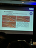奇砚 云广168电动装订机钻头 打孔机传动带 装订线 配件 垫圈 皮垫 钩针 奇砚 云广168装订机经济型皮带1套 实拍图