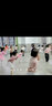 艾舞戈儿童舞蹈服夏季女童芭蕾舞裙练功服幼儿园宝宝表演棉裙考级舞蹈 粉色-长袖-后背蝴蝶 110 实拍图
