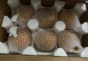 自然搭档山东莱阳秋月梨 新鲜应季现摘黄金酥脆梨 4.5斤4-6枚单果300g+ 实拍图