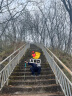 NatureHike挪客ST01铝合金三节登山杖儿童徒步超轻伸缩成人爬山户外男女拐杖 男款金黄(61-135CM) 实拍图