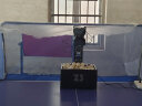 左乒右乓（ZOUOPONG） Z3 乒乓球发球机 单人自动专业 机器人家用练球器 训练器发球器 主机+100个球 实拍图