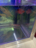 格池（GRECH）鱼缸过滤器上部过滤三合一抽水泵水族箱冲氧净水增氧过滤泵滴流盒 12W(适合长:60-80cm鱼缸)不带滤盒 实拍图