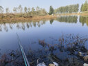 小凤仙醒目豆浮珠对撞醒目加粗抗水流轻盈灵敏双色搭配浮漂配件久看不累 红色顶珠20枚+荧光黄浮珠20枚 加小方盒 晒单实拍图