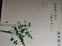 遗世独立 珍稀濒危植物手绘观察笔记 实拍图