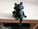 匠心坊 小礼品家居小摆件青蛙迷你小动物摆设工艺品 0044青蛙-约会中的男生 实拍图