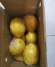 京鲜生 重庆金靴柠檬 2斤装 单果120g+ 绿色食品 源头直发包邮 实拍图