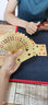 望京扑克（Wangjing Poker） 土豪金扑克牌磨砂PVC塑料防水耐磨金箔塑料娱乐收藏魔术道具 金色拉斯维加斯 实拍图