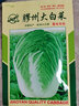 种菜记正宗山东胶州大白菜种子胶蔬秋季王白菜种籽冬储早熟农家蔬菜孑 胶州大白菜种子10克 2袋 实拍图