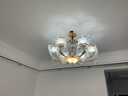 雷士（NVC）吊灯欧式轻奢水晶吊灯客厅灯大气现代简约餐厅灯具套餐灯饰全屋 【水晶年华10头】吊灯-带光源 实拍图